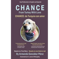 Chance: From Turkey With Love: Chance: de Turquía con amor - Paperback