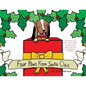 Four Paws from Santa Claus: Based on the true story of how 3 siblings were gifted with a tiny treasure and quickly learned the value of family, love, - Paperback