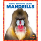 Mandrills - Library Binding