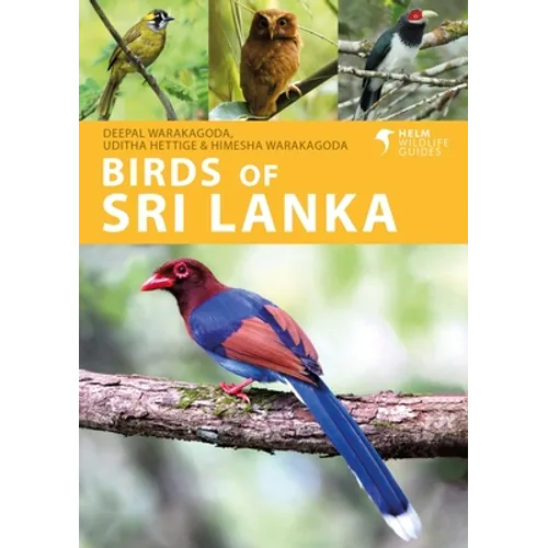 Birds of Sri Lanka - Paperback