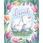 My Little Lamb - Board Book