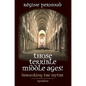 Those Terrible Middle Ages!: Debunking the Myths - Paperback