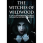 Witches of Wildwood: Cape May Horror Stories and Other Scary Tales from the Jersey Shore: 10 Stories and a Novella - A Collection of Contem - Hardcover