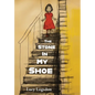 The Stone in My Shoe - Hardcover
