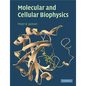 Molecular and Cellular Biophysics - Paperback