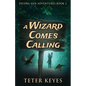 A Wizard Comes Calling - Paperback