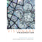 Visionary Pragmatism: Radical and Ecological Democracy in Neoliberal Times - Paperback