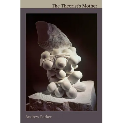 The Theorist's Mother - Paperback