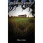 Stealing Jenny - Paperback