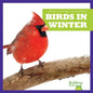 Birds in Winter - Paperback