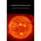 Twilight of the Anthropocene Idols - Paperback