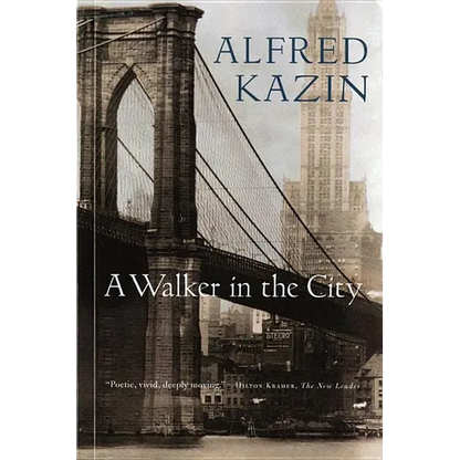 A Walker in the City - Paperback