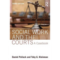 Social Work and the Courts: A Casebook - Paperback