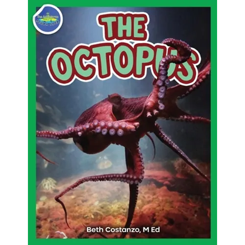 The Octopus ages 2-4 - Paperback