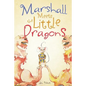 Marshall Meets the Little Dragons - Paperback
