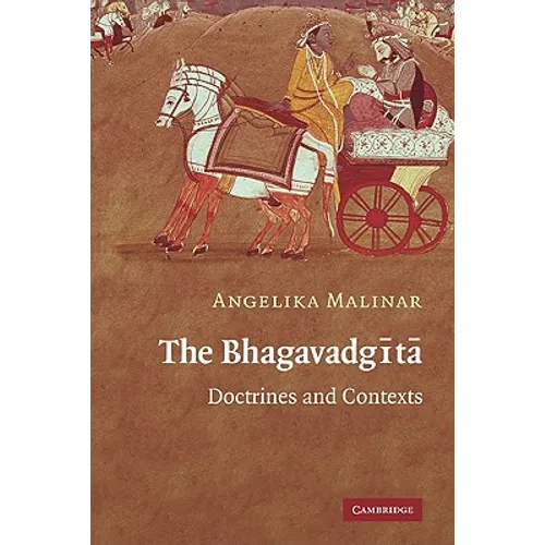 The Bhagavadgita: Doctrines and Contexts - Paperback
