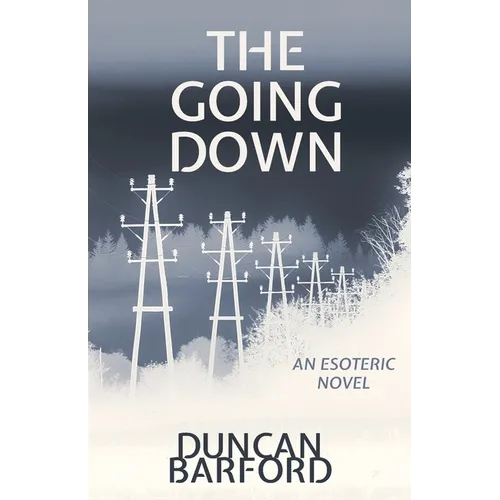 The Going Down - Paperback