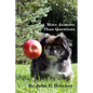More Answers than Questions - Paperback