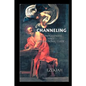 Channeling A Comprehensive and Instructional Guide - Paperback