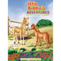 Ittie Biddie's ADVENTURES ( Itty-Biddie Problem) - Hardcover