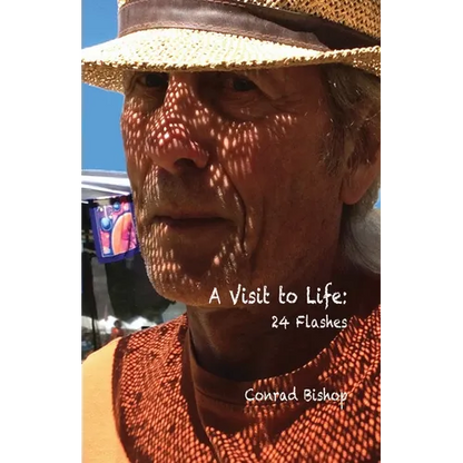 A Visit to Life: 24 Flashes - Paperback