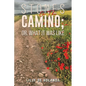 Stones on the Camino; or, What It Was Like - Paperback