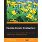 Hadoop Cluster Deployment - Paperback