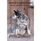 A Dog's Breakfast: Outright Lies and Other Short Fiction - Paperback