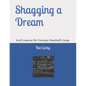 Shagging a Dream: And Lessons for Fantasy Baseball Camp - Paperback