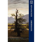 Obermann (Noumena Classics) - Paperback