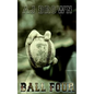 Ball Four - Paperback