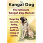 Kangal Dog. the Ultimate Kangal Dog Manual. Kangal Dog Care, Costs, Feeding, Grooming, Health and Training All Included. - Paperback