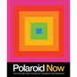 Polaroid Now: The History and Future of Polaroid Photography - Hardcover