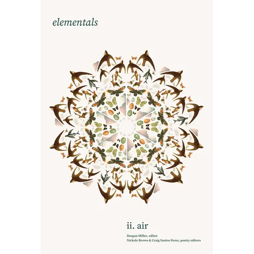Elementals: Air, Vol. 2 - Paperback