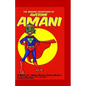 The Amazing Adventures of Awesome Amani: a W.R.E.a.C Havoc Heroes Series Book 1 - Paperback