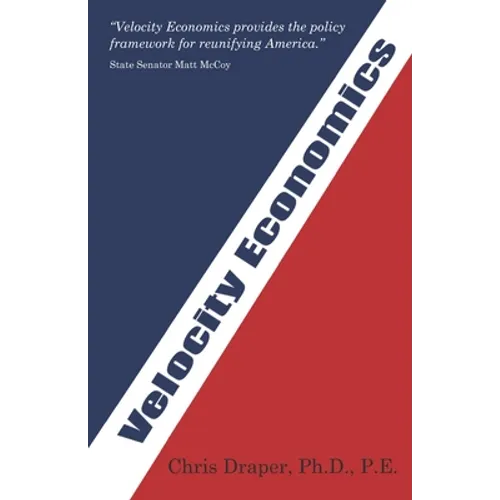 Velocity Economics: The Real American Economy - Paperback