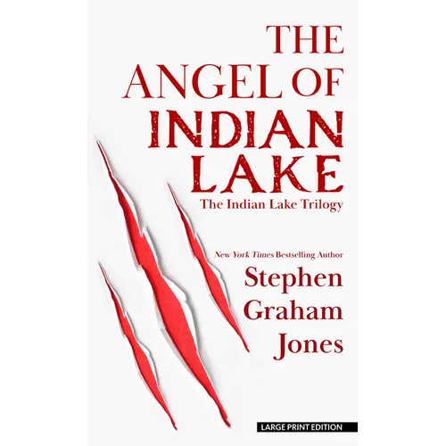 The Angel of Indian Lake - Library Binding