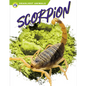 Scorpion - Library Binding