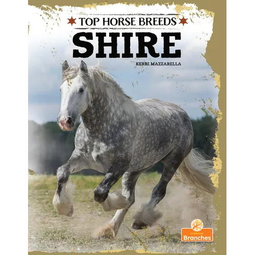 Shire - Hardcover