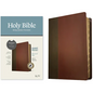 KJV Personal Size Giant Print Bible, Filament Enabled Edition (Leatherlike, Brown/Mahogany, Indexed) - Imitation Leather