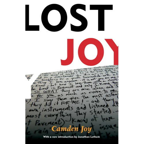Lost Joy - Paperback