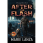 After the Flash: Book 1 of the Michael Connors story - Paperback
