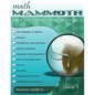 Math Mammoth Grade 7 Skills Review Workbook - Paperback