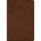Study Bible-ESV-Personal Size - Imitation Leather