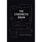 The Cybernetic Brain: Sketches of Another Future - Paperback