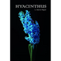 Hyacinthus - Paperback