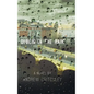 Dublin in the Rain - Hardcover