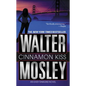 Cinnamon Kiss - Paperback