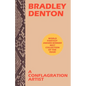 A Conflagration Artist - Paperback