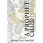 A Prophet Called Isaiah - Paperback